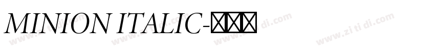 MINION ITALIC字体转换 MINION ITALIC字体转换